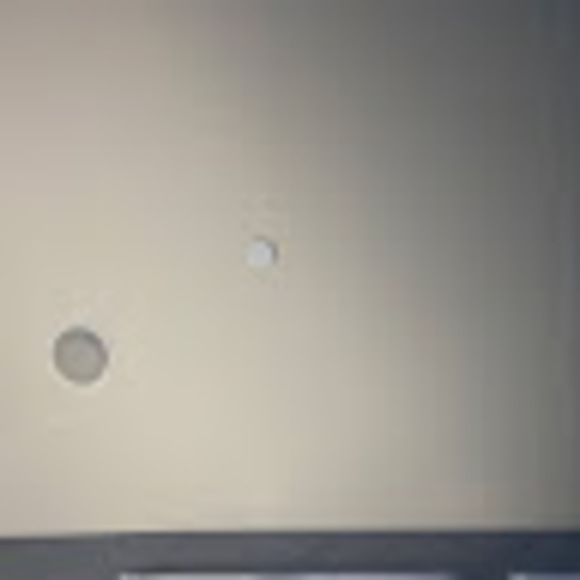 Meet your Posher, Ruru - Picture 1 of 1